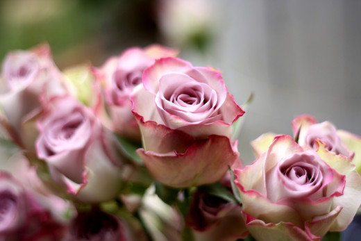 599481 (a): :2800x1867